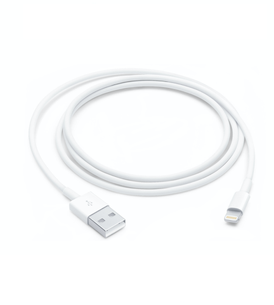 Lightning to USB Cable (1&nbsp;m)